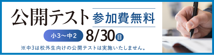 公開テスト