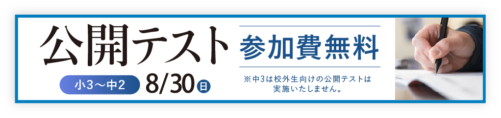 公開テスト