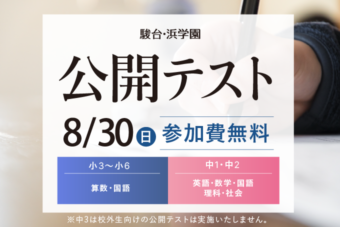 公開テスト