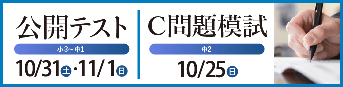公開テスト