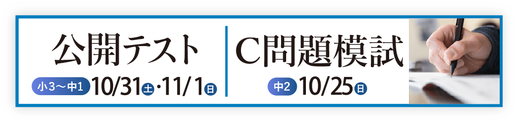 公開テスト