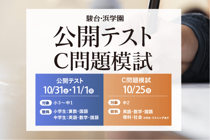 公開テスト
